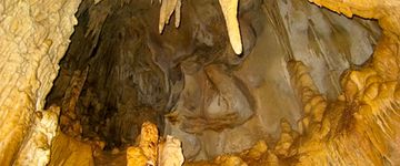 cave-barra-honda