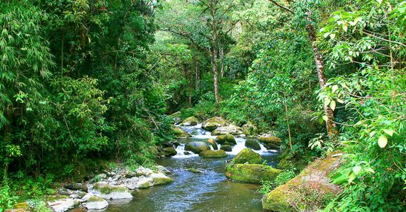 san gerardo de dota savegre river