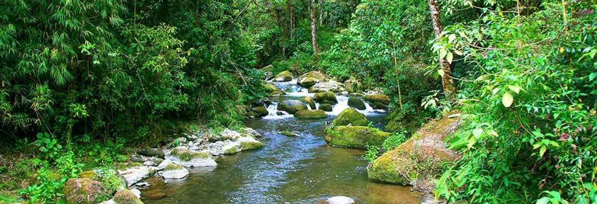 san gerardo de dota savegre river