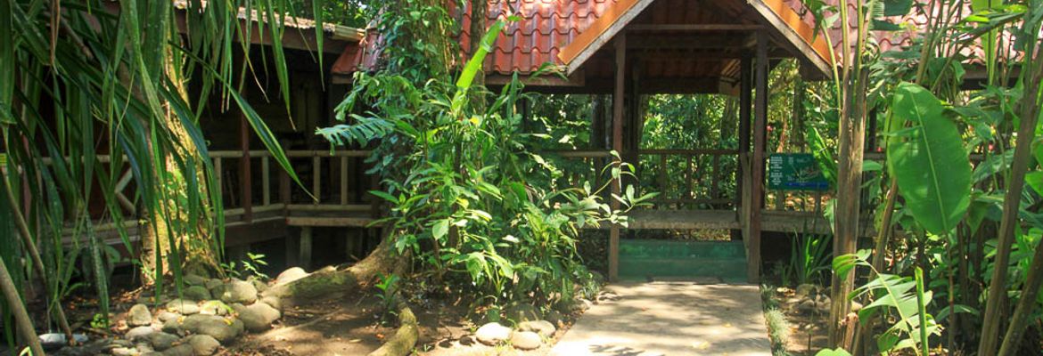 pachira lodge bungalows 1