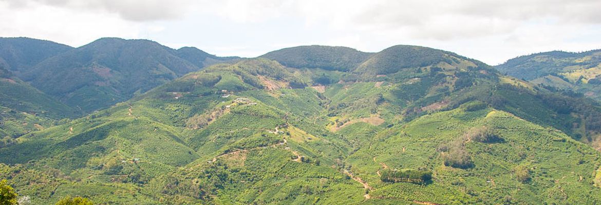 mountain view dota 1