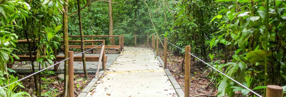 trail for disables at carara national park