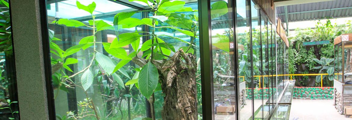 monteverde serpentarium enclosures 1