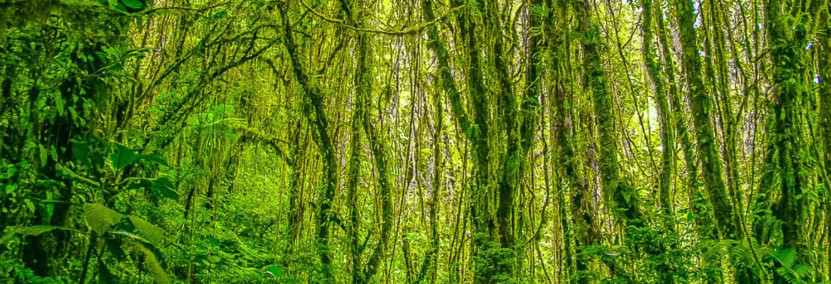 santa elena reserve monteverde front page