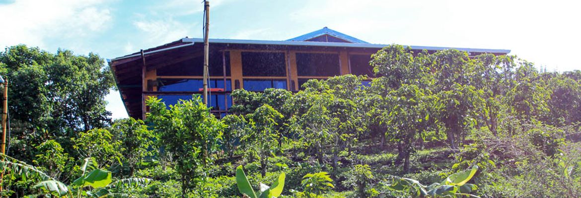 don juan coffee farm 1