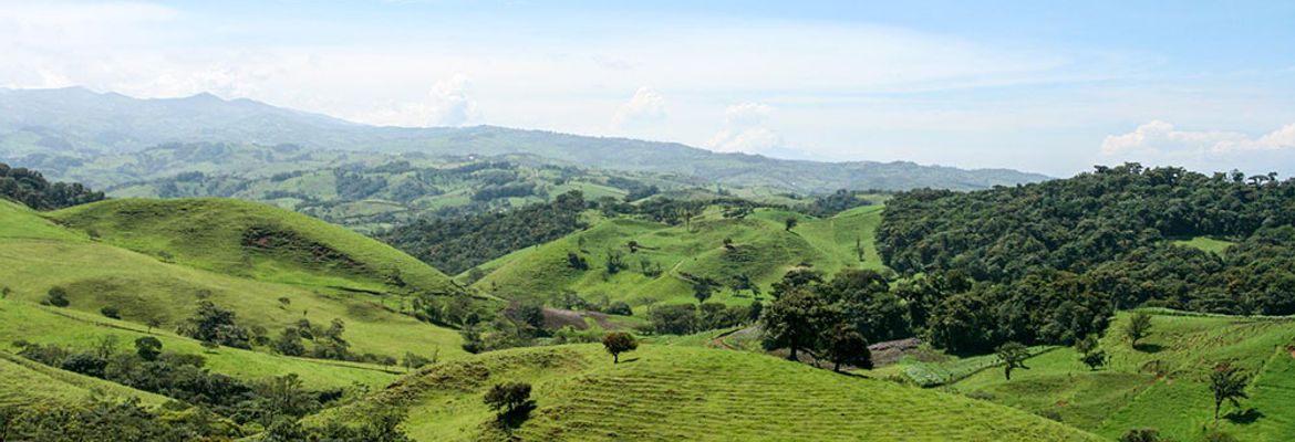 scenic drive to arenal 4