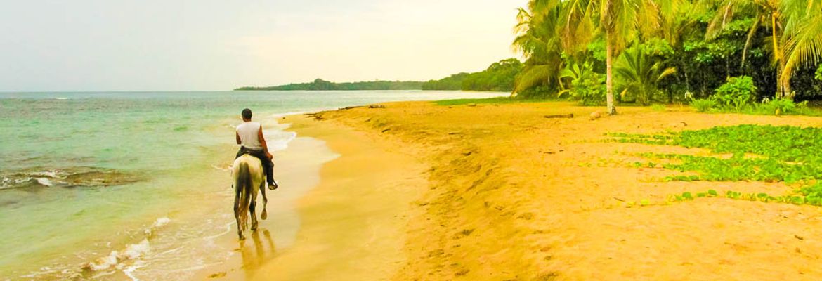 terraventuras beach horseback ride cocles 1