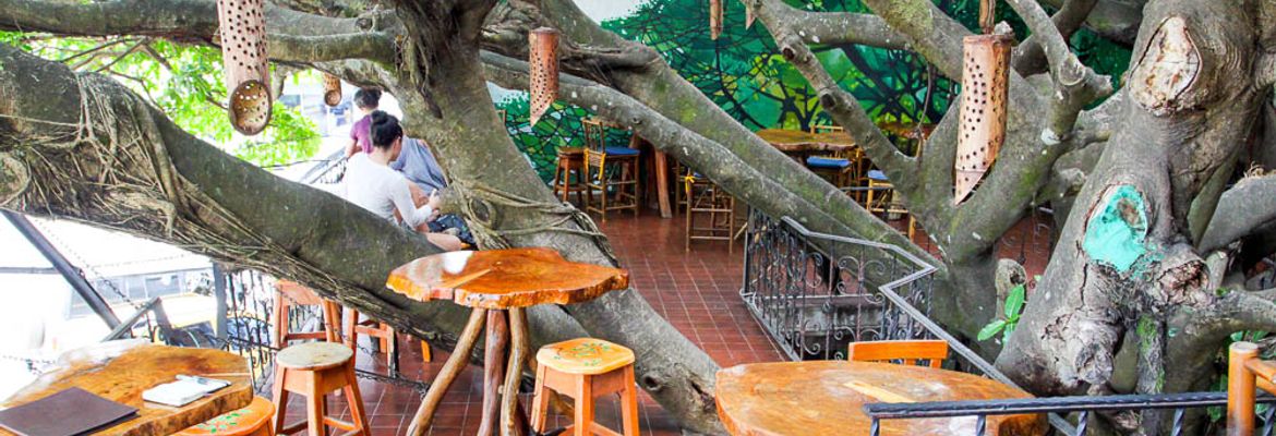 treehouse dining room 1