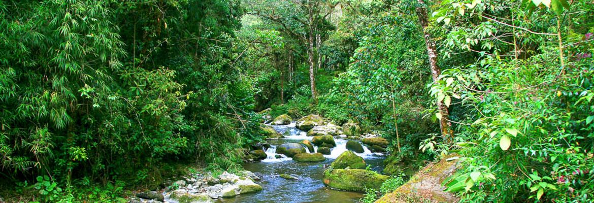 san gerardo de dota savegre river