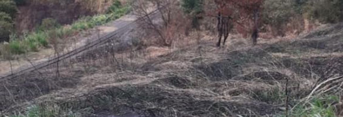 land for development in tibas view 002