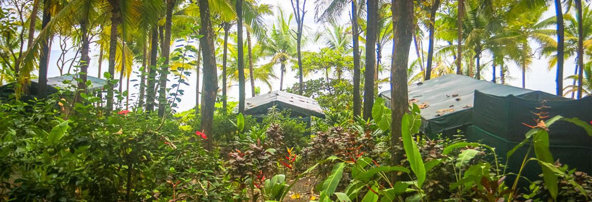 la leona coastal view from tents costa rica