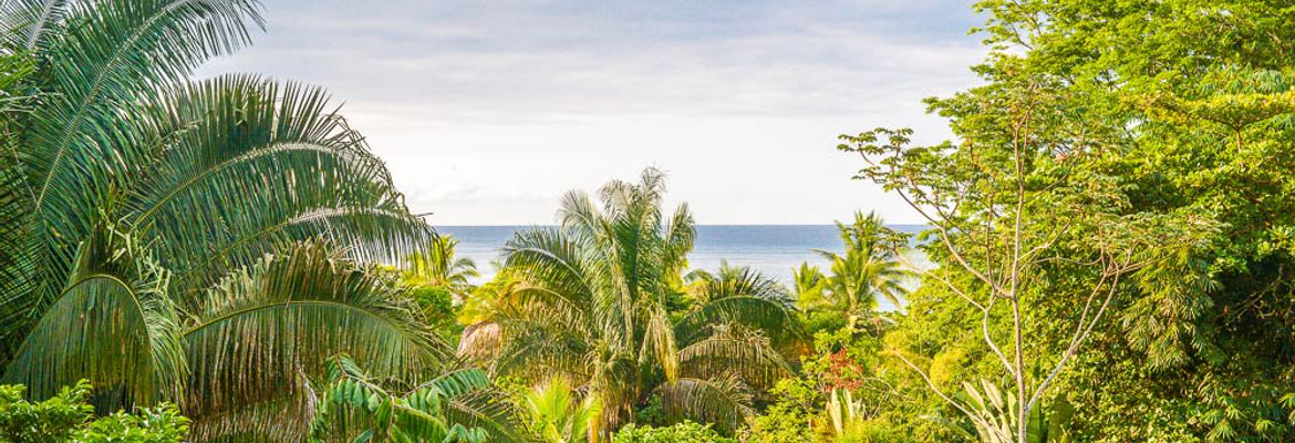 view from finca exotica restaurant
