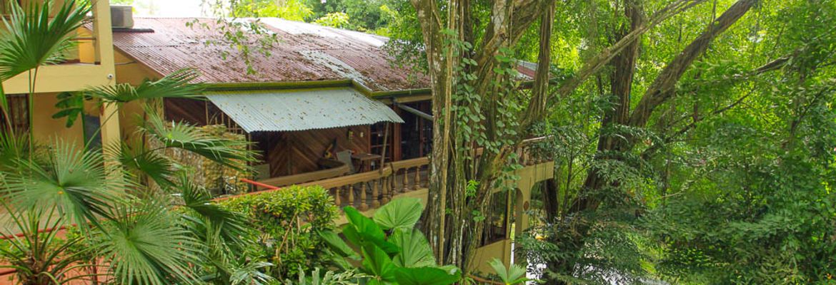 jungle beach hotel overview 1