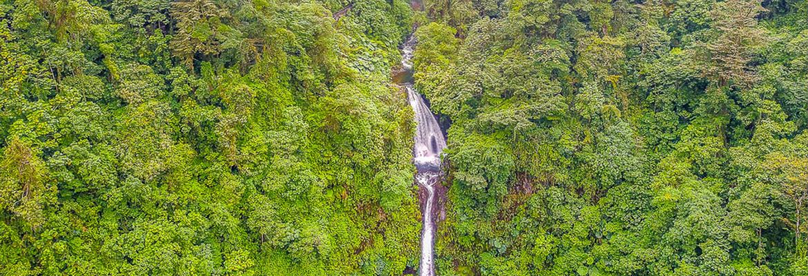 5 cascading waterfall gardens 1