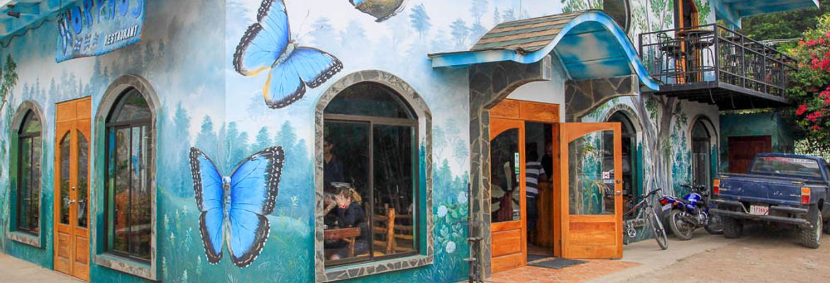 morphos facade 1