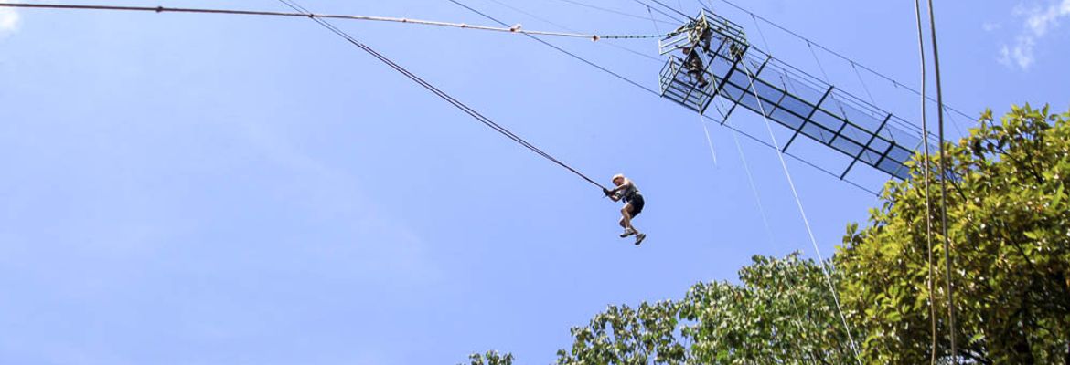 100 percent aventura tarzan bottom 7