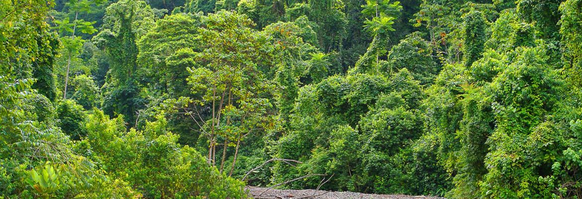 piedras blancas national park