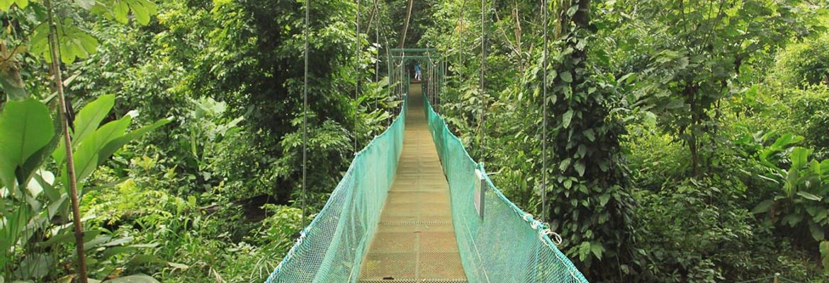 la foresta nature resort trails 2