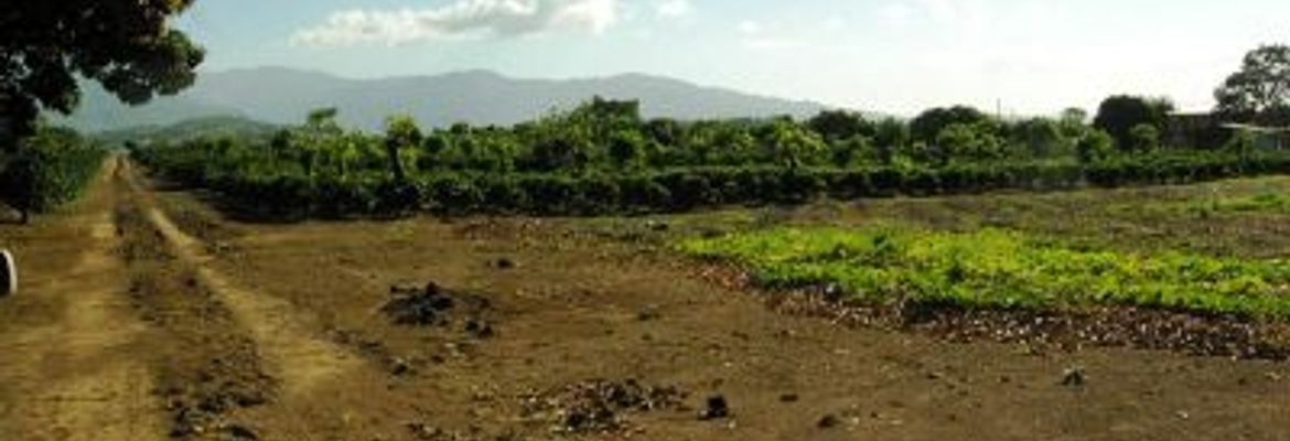 1472 2812 420542 20070109110333 2 lg