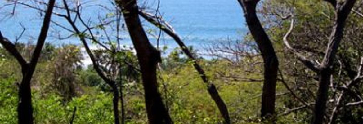 1778 3584 515047 20070417081519 3 lg