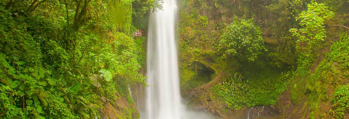 waterfall waterfallgardens 74