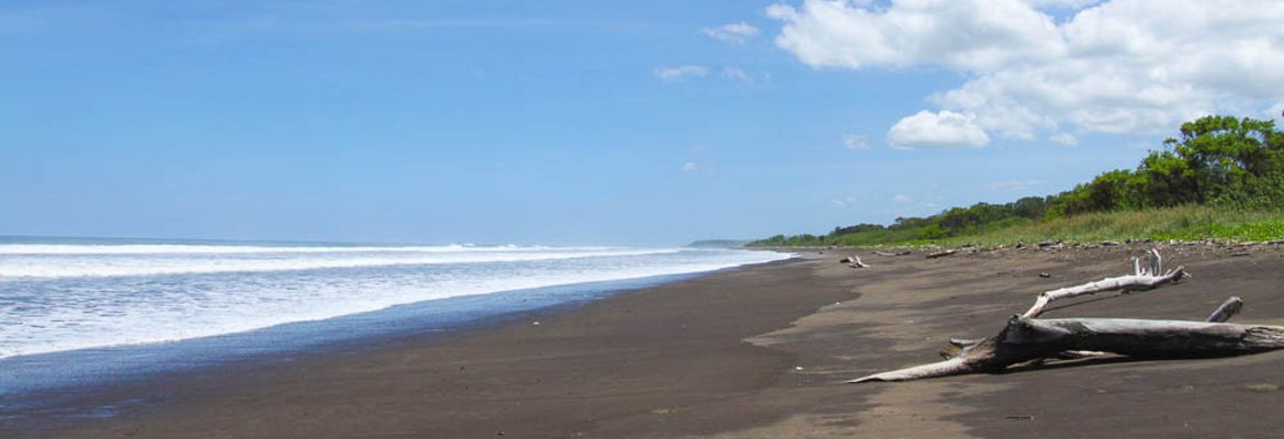 playa nosara stretch1