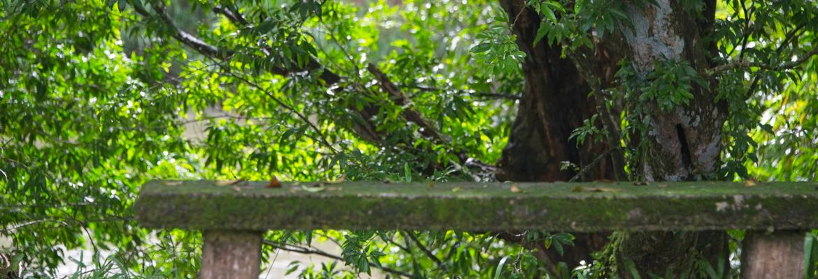 Tilajari Resort Facilities