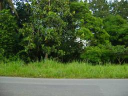 building parcel in alajuela city view 010