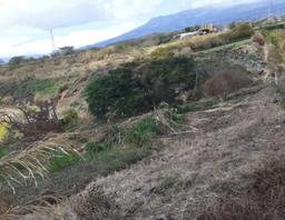 land for development in tibas view 003