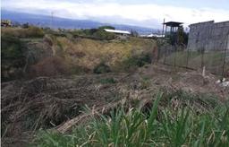 land for development in tibas view 001