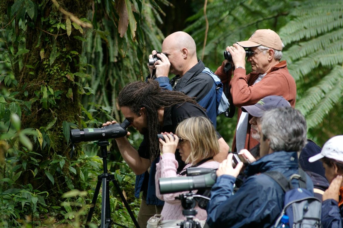 Wildlife Watching at Monteverde Cloud Forest