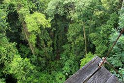 los suenos tallest platform 2