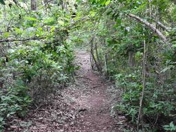 trail samara trails hike 4