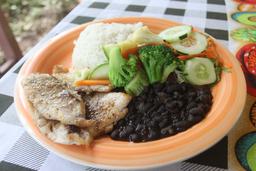 fish casado rosis soda tica 2
