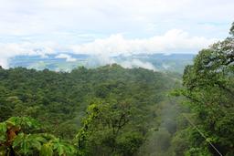 superman de osa view 4