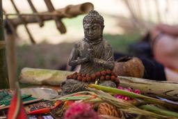 buddha envision festival costa rica