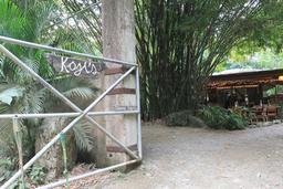 koji's front sign 14