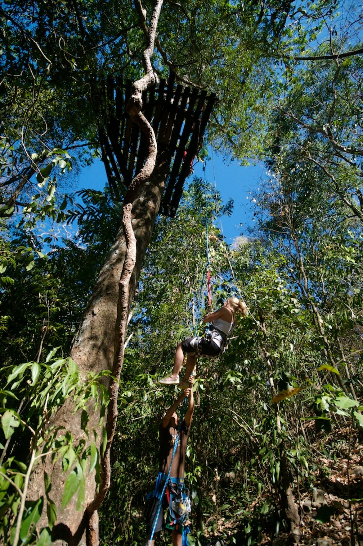 Rappelling on a Samara Canopy Tour