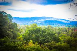 mountain view osa palmas canopy tour