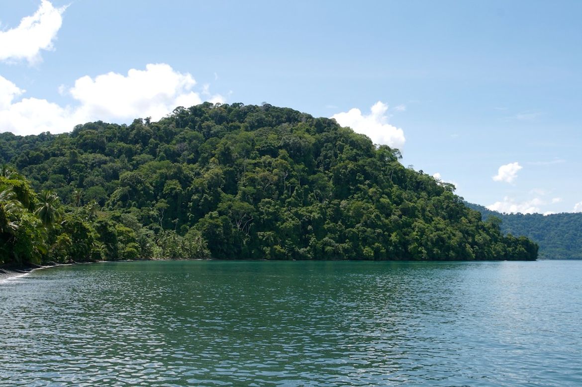 Golfo Dulce Views from Nicuesa Beach