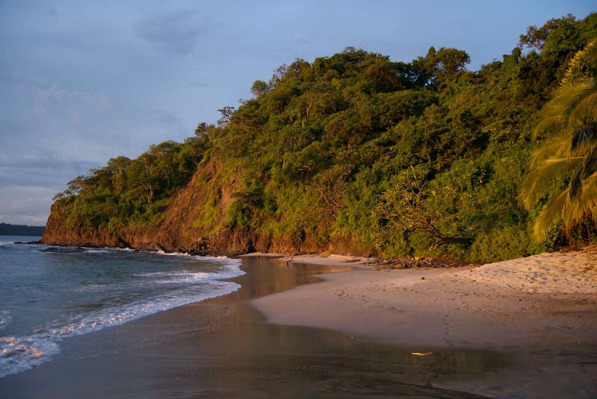 Beachfront Forest at Papagayo