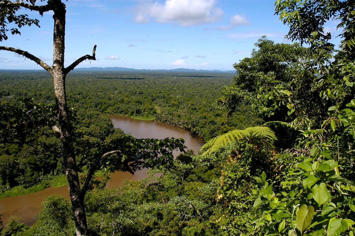 Canal Views from Cerro Tortuguero