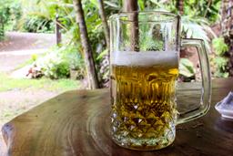 beer casa el tortugo 8
