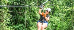 los suenos canopy closeup 1