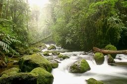 river waterfallgardens 34