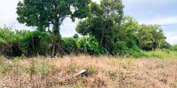 land for development in heredia view 004