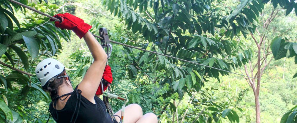 Canopy Tours