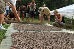 caribeans drying beans 3