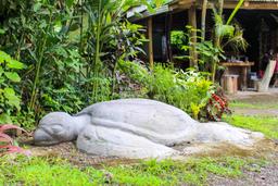 casa tortugo stone turtle 7