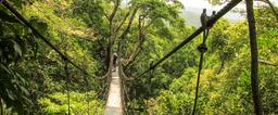 chiclets canopy tour suspension bridge 1